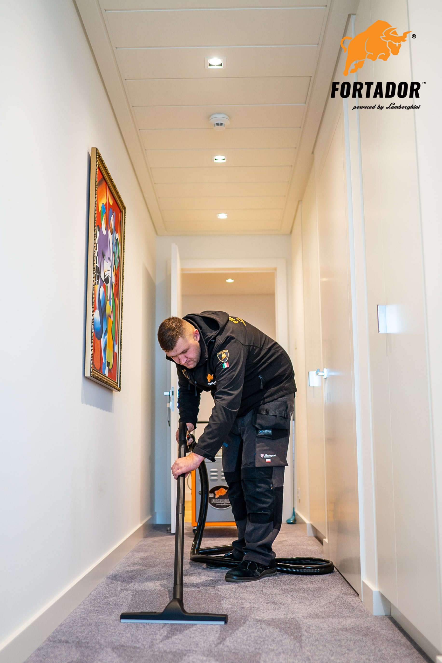 Bed Bug Steam Cleaner Ultimate Guide How to Get rid of Bed Bugs